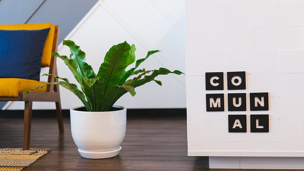 Coworking - co to jest i dla kogo się opłaca