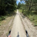 Widok z kierownicy roweru gravel na szutrowej drodze w lesie