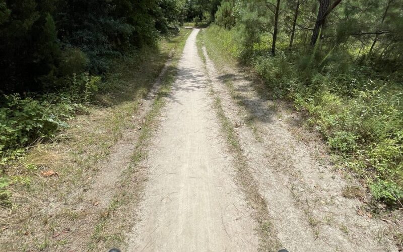 Widok z kierownicy roweru gravel na szutrowej drodze w lesie