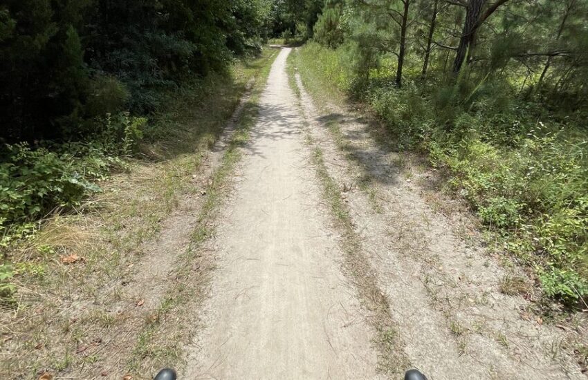 Widok z kierownicy roweru gravel na szutrowej drodze w lesie